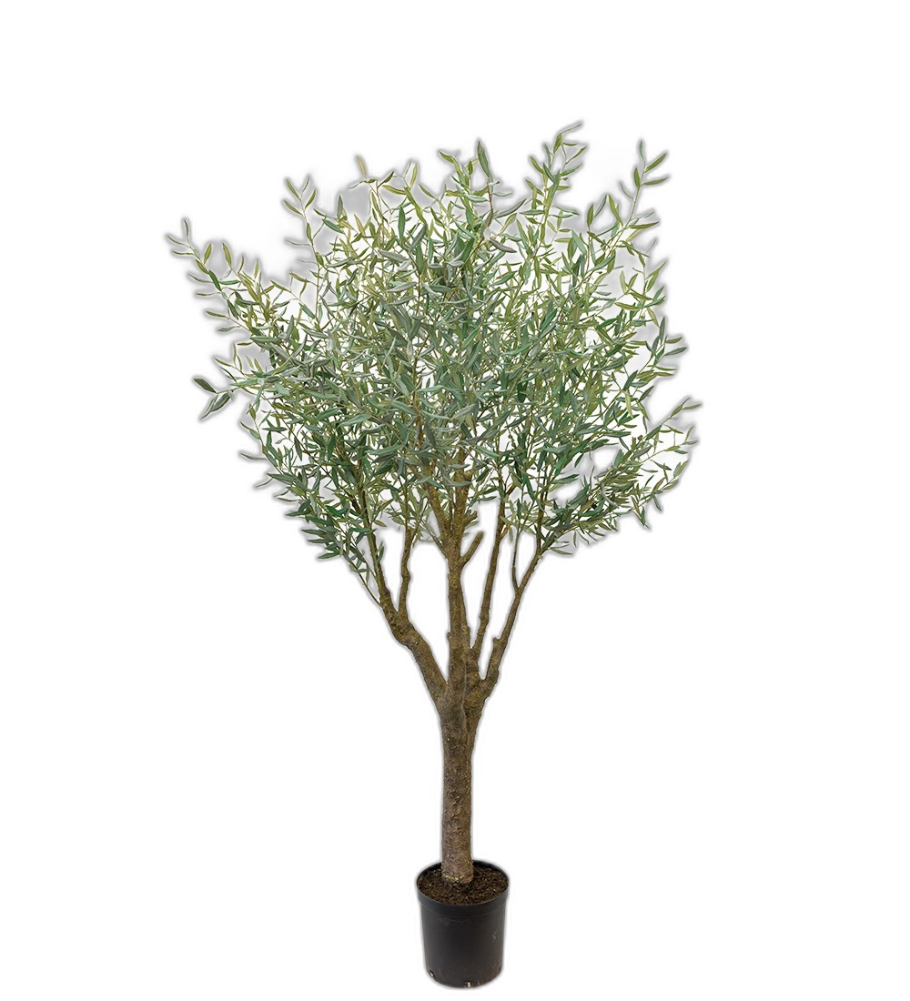 Oliv 240 cm – Konstgjort träd