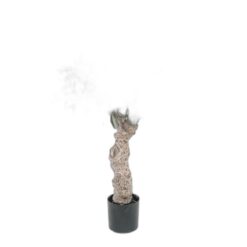 Oliv 80 cm – Konstgjort träd 2-PACK