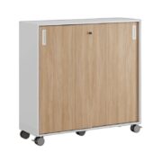 Småland Skjutdörrsskåp med hjul – Bredd 120 cm x Höjd 116 cm, Vit, grå eller ek. Från: