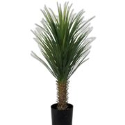 Yucca Rostrata 100 cm – Konstgjort träd 2-PACK