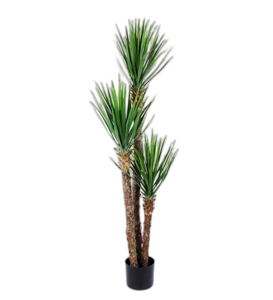 Yucca Rostrata 150 cm – Konstgjort träd 2-PACK