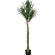 Yucca Rostrata 180 cm – Konstgjort träd.